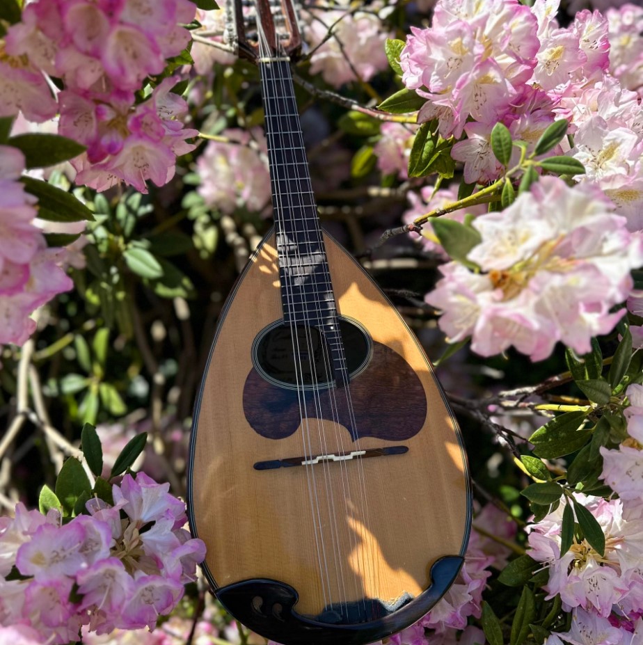 Mandoline et fleurs