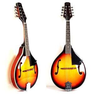 Concert de Mandolines